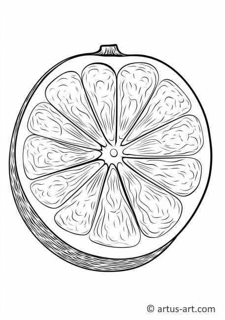 Pagină de colorat cu jumătate de grapefruit